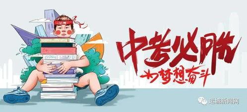 流浪者爆料最新消息,揭秘城市边缘的生存真相